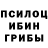 Галлюциногенные грибы Cubensis Pol Green