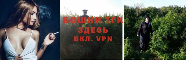 амф Горняк