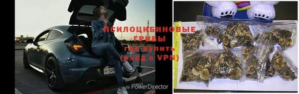 MDMA Гусев