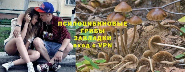 амф Горняк