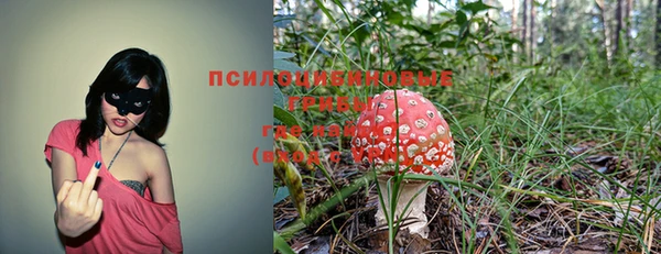 кристаллы Горнозаводск