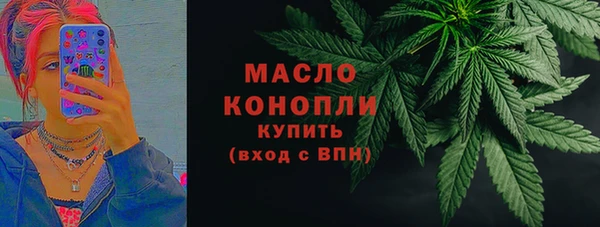 амф Горняк