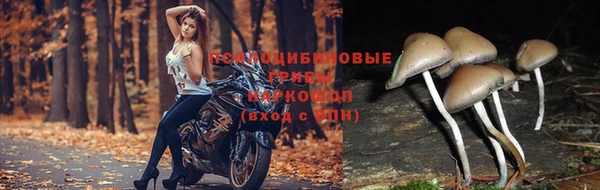 MDMA Гусев