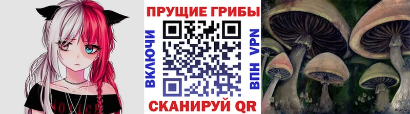 kraken ССЫЛКА  купить наркоту  Пересвет  Псилоцибиновые грибы Magic Shrooms 